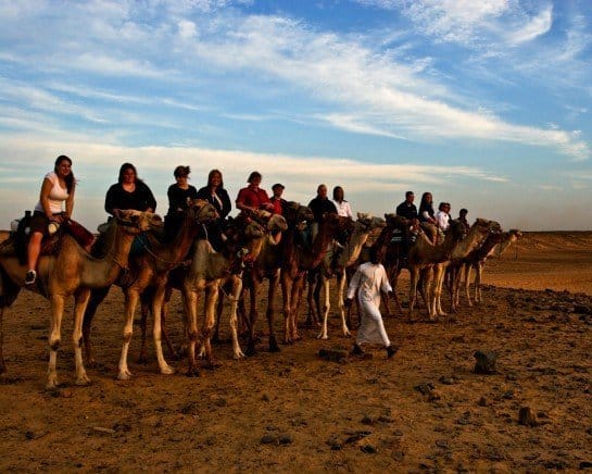 Group of tourists on camels - Egypt Desert